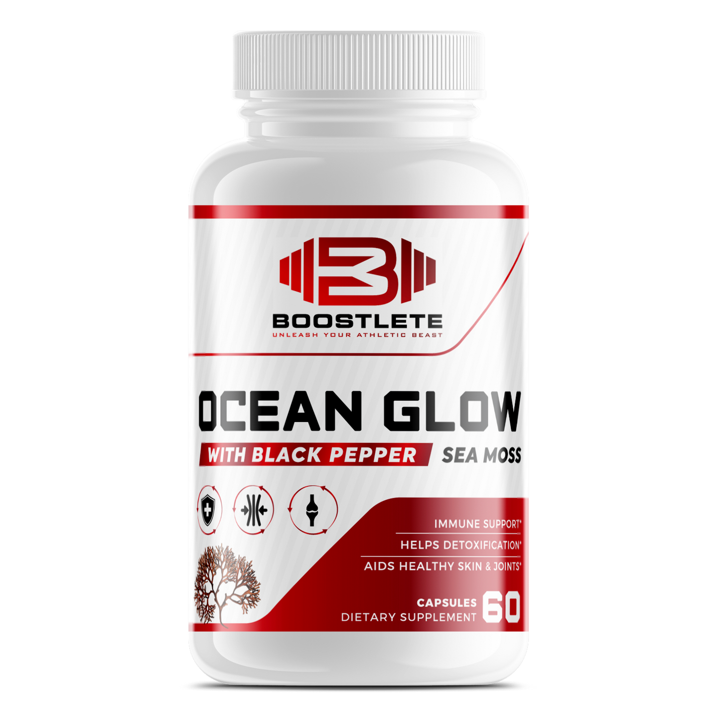 OCEANGLOW – Premium Sea Superfood Blend for Vitality & Wellness