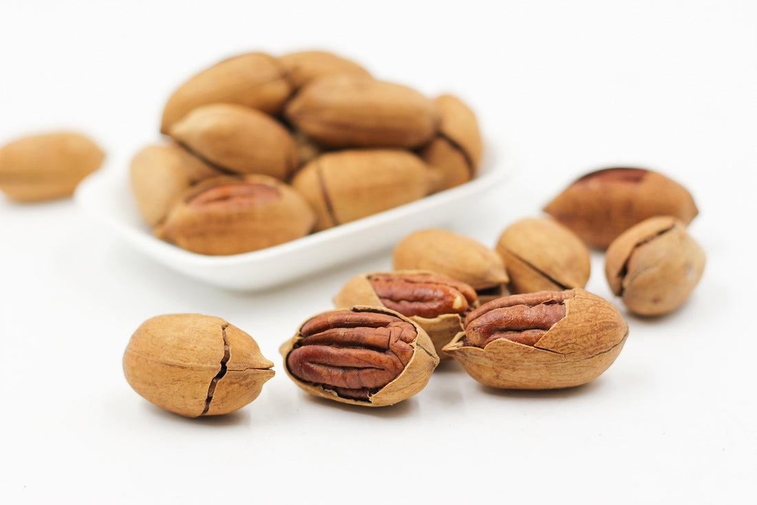 Complete vs Incomplete Protein Explained