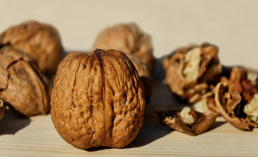 High Protein Diet for Muscle Building | Boostlete