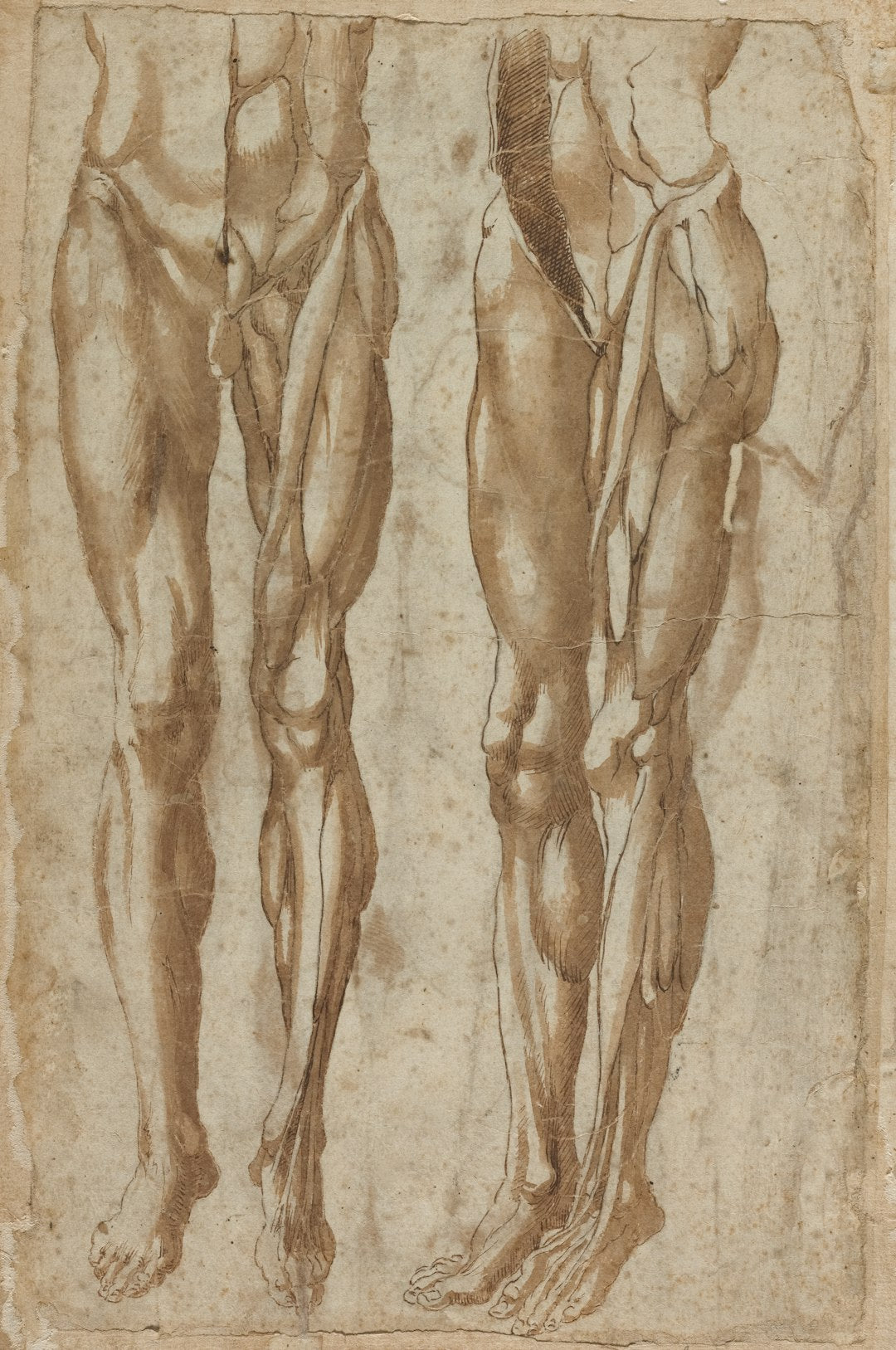 Training Split Guide: Push/Pull/Legs vs Upper/Lower vs Full Body