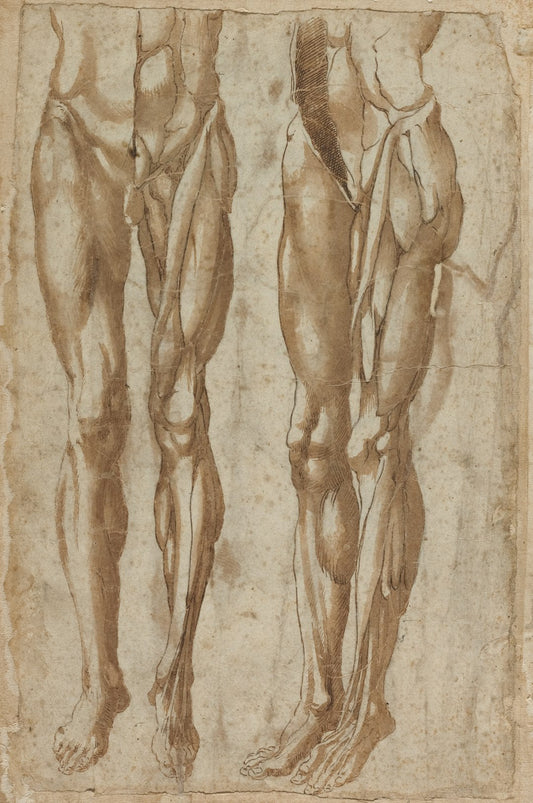 Training Split Guide: Push/Pull/Legs vs Upper/Lower vs Full Body