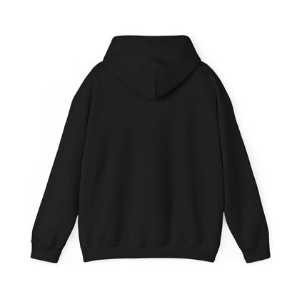 boostlete-mile-by-mile-pattern-audio-blueprint-0971 — Unisex Heavy Blend Hoodie (G18500)