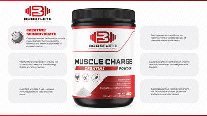 CreatineCharge Bundle - 3-Pack
